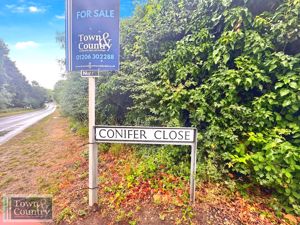 CONIFER CLOSE- click for photo gallery